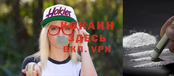 эйфоретик Гусь-Хрустальный