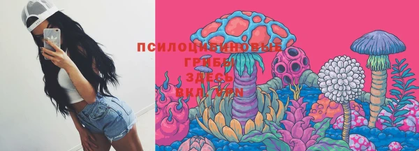 spice Алексеевка